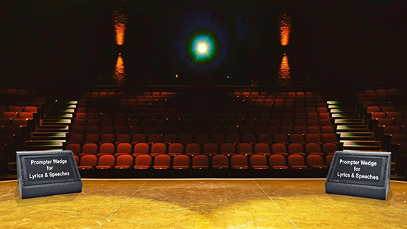 Wedge Stage View - Dual
